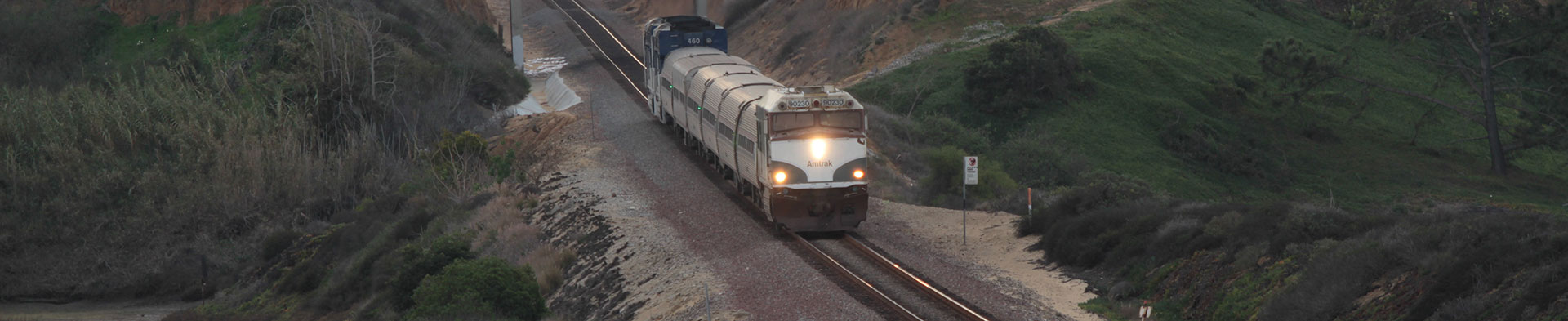 Train passing by the Batiquitos Lagoon