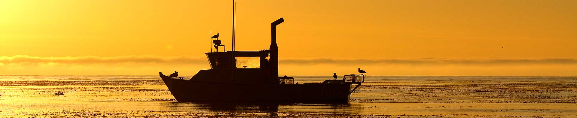 Boat floating in the Pacific Ocean in San Diego during sunset  