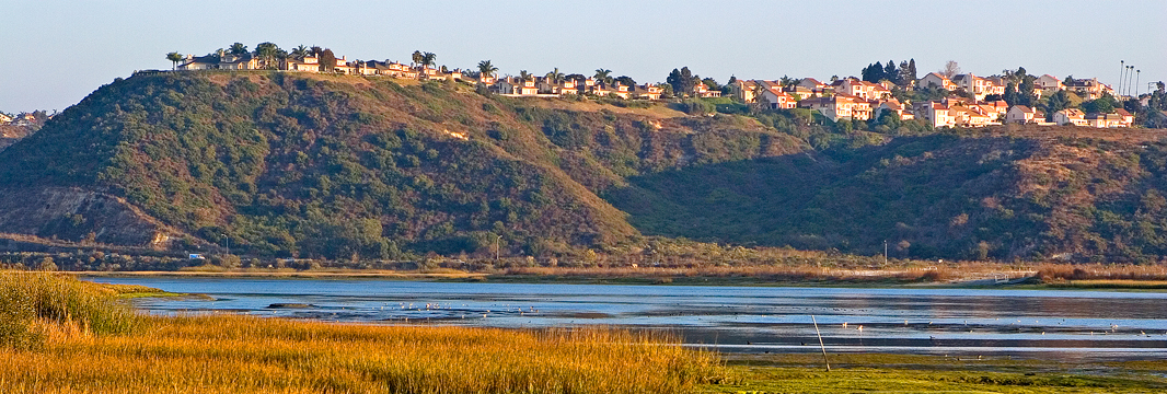 View of North County Hillside