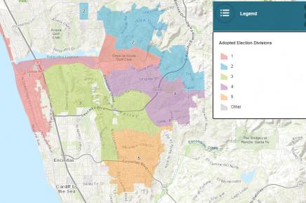 District Election Divisions