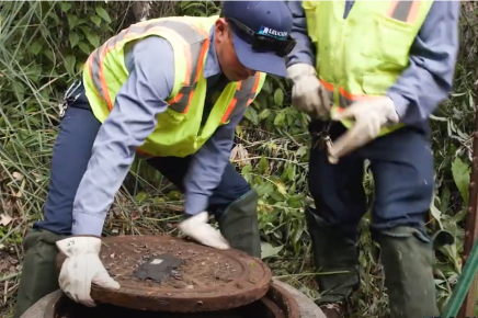 Easement Maintenance