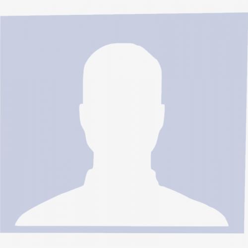 Chris Roesink